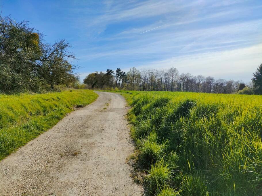*Gite Aux Grappes Du Pressoir* A 2 Km De Beauval Seigy ภายนอก รูปภาพ