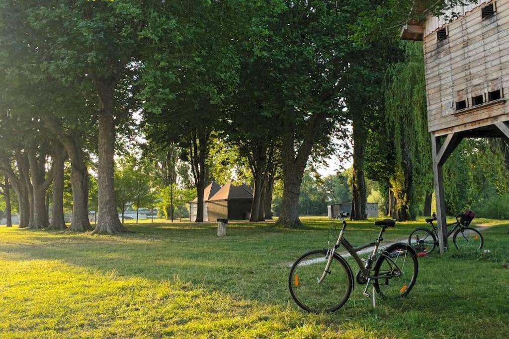*Gite Aux Grappes Du Pressoir* A 2 Km De Beauval Seigy ภายนอก รูปภาพ